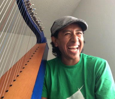 Harp vs. Harp – UTSA Student Review